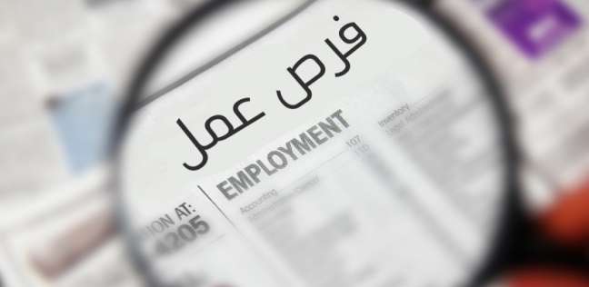 أفضل مواقع توظيف فى مصر لعام 2021