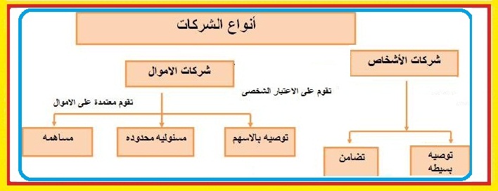 انواع الشركات في مصر