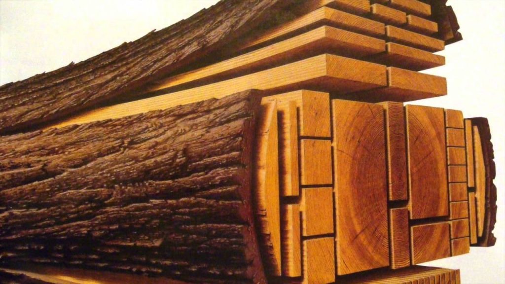 أنواع الخشب واستخداماته وكيفية صناعته